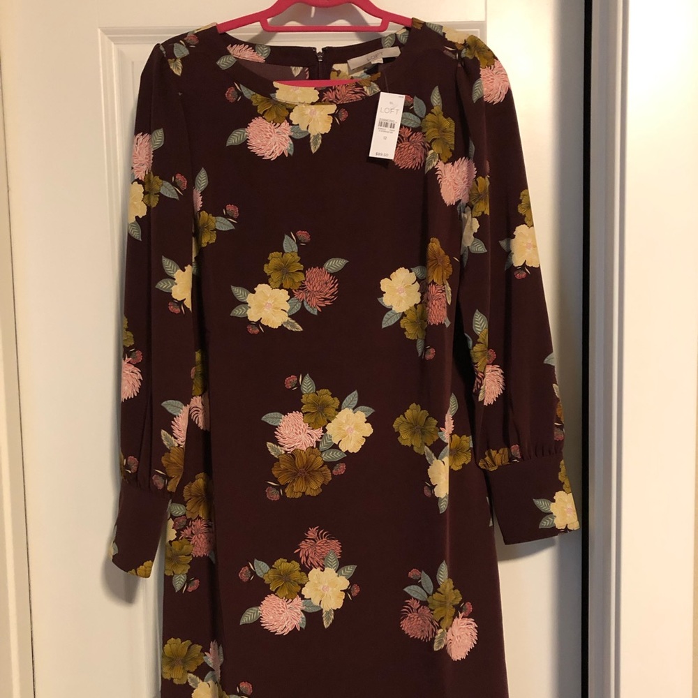 Brand new, never worn, shift dress from LOFT.